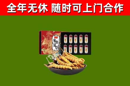 庆云回收冬虫夏草价格