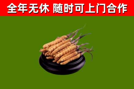 庆云烟酒回收冬虫夏草.jpg